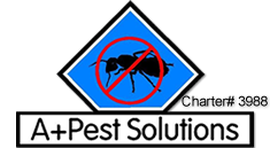 A Plus Pest Solutions